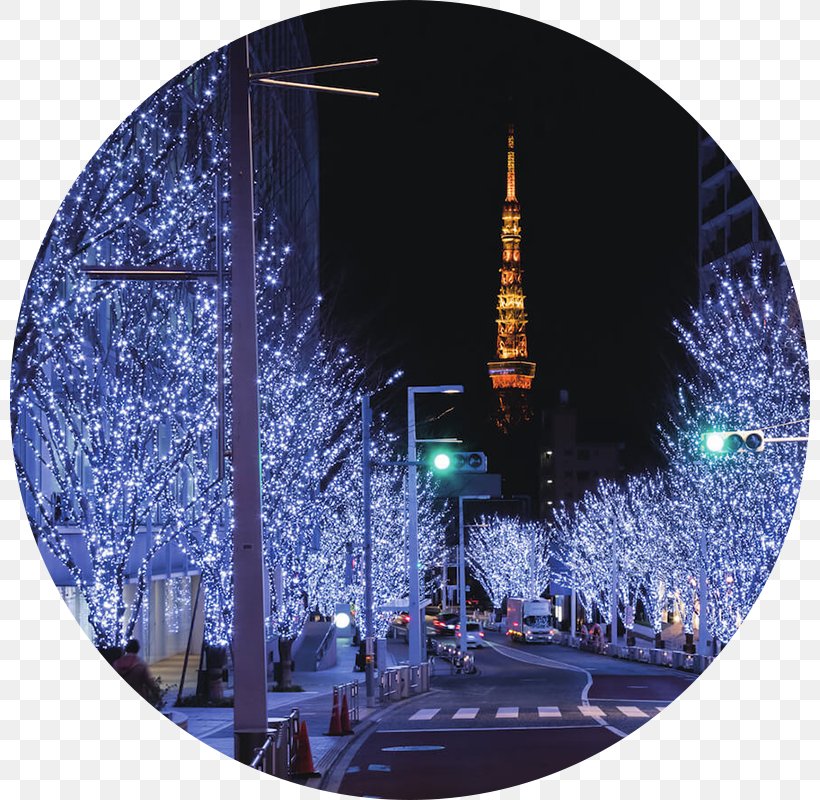 Roppongi Hills Christmas Keyakizaka Dōri イルミネーション Santa Claus, PNG, 800x800px, Roppongi Hills, Christmas, Christmas Lights, Christmas Tree, Japan Download Free