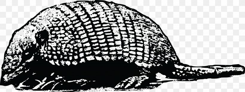 Armadillo Wildlife Glyptodon, PNG, 4000x1521px, Armadillo, Animal, Black And White, Carnivoran, Cingulata Download Free