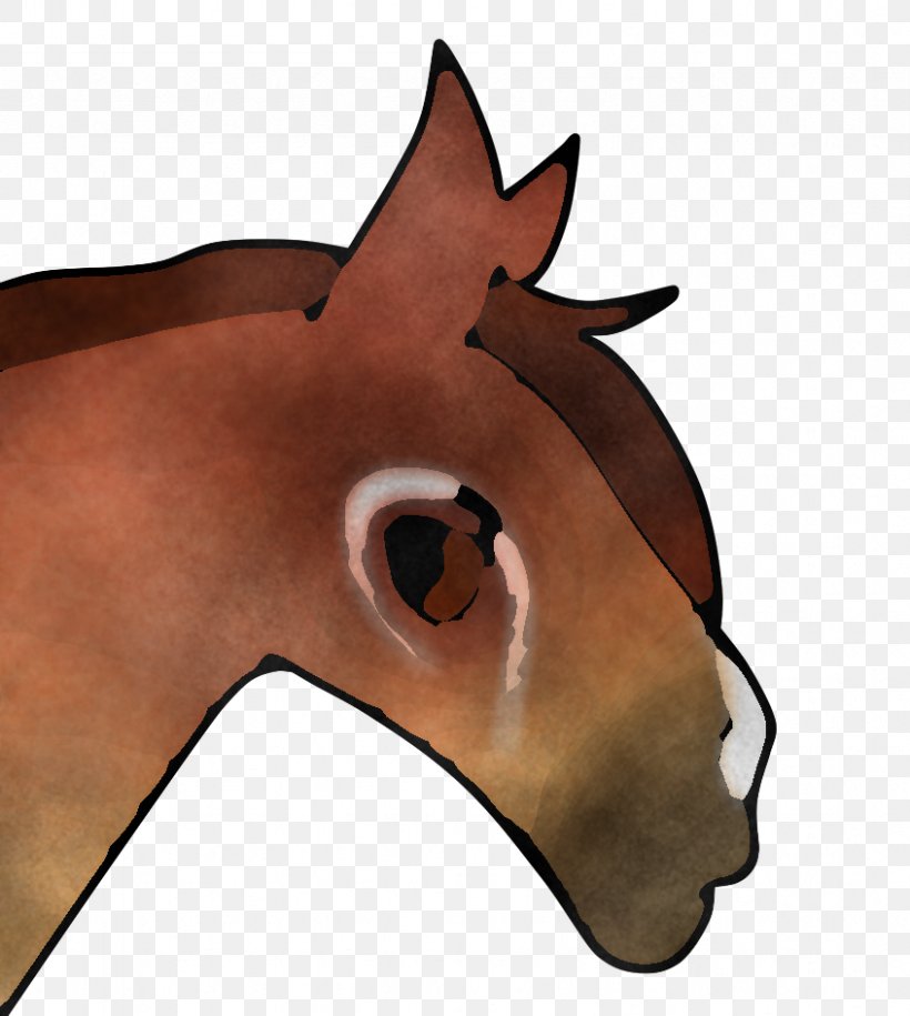 Face Nose Horse Head Snout, PNG, 846x945px, Face, Brown, Cartoon, Eye, Head  Download Free