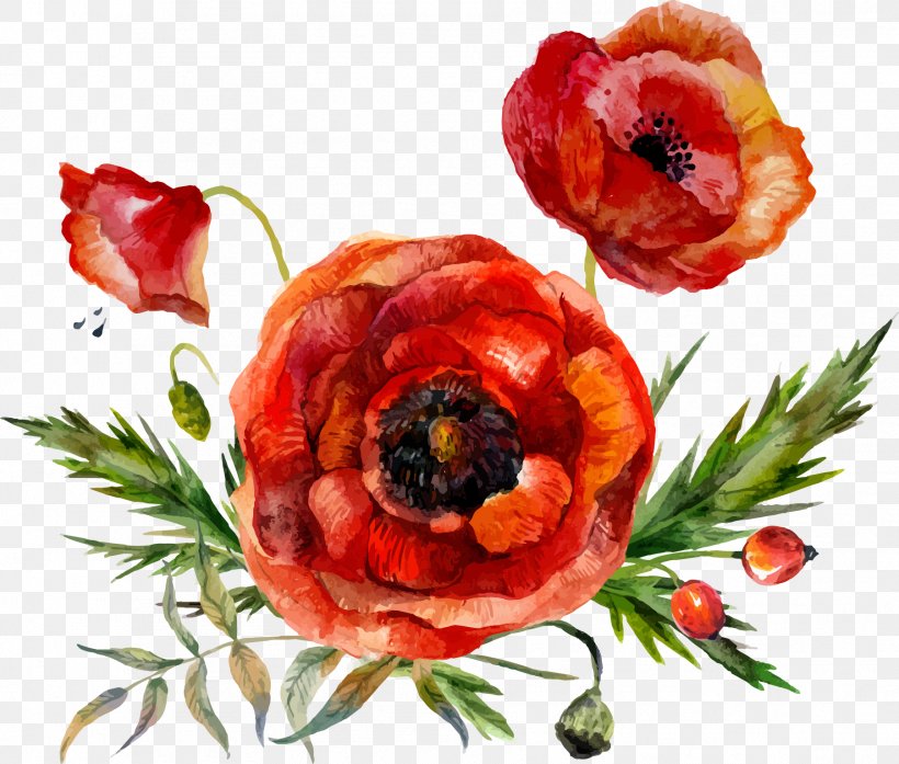 Flower Poppy Watercolor Painting, PNG, 1803x1533px, Poppy, Flower, Fruit, Garnish, Photography Download Free