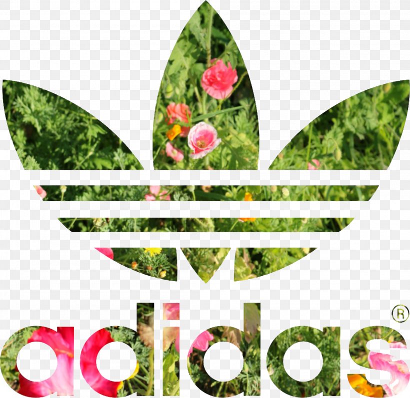 T-shirt Adidas Stan Smith Hoodie Adidas Originals, PNG, 2106x2048px, Tshirt, Adidas, Adidas Originals, Adidas Stan Smith, Clothing Download Free