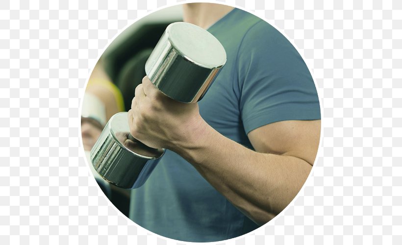 Weight Training Fitness Centre Exercise Personal Trainer Olympic Weightlifting, PNG, 500x500px, Weight Training, Dumbbell, Exercise, Fitness Boot Camp, Fitness Centre Download Free