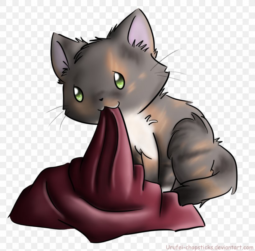 Whiskers Korat Kitten Domestic Short-haired Cat Tabby Cat, PNG, 883x869px, Whiskers, Black Cat, Carnivoran, Cartoon, Cat Download Free