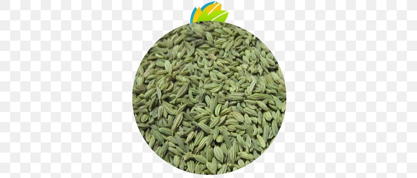 Fennel Indian Cuisine Cumin Seed Spice, PNG, 400x350px, Fennel, Ajwain, Anise, Apiaceae, Commodity Download Free