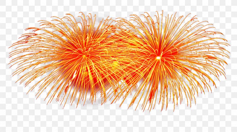Fireworks Orange Citrus Xd7 Sinensis Artificier, PNG, 1024x572px, Fireworks, Artificier, Citrus Xd7 Sinensis, Color, Fond Blanc Download Free