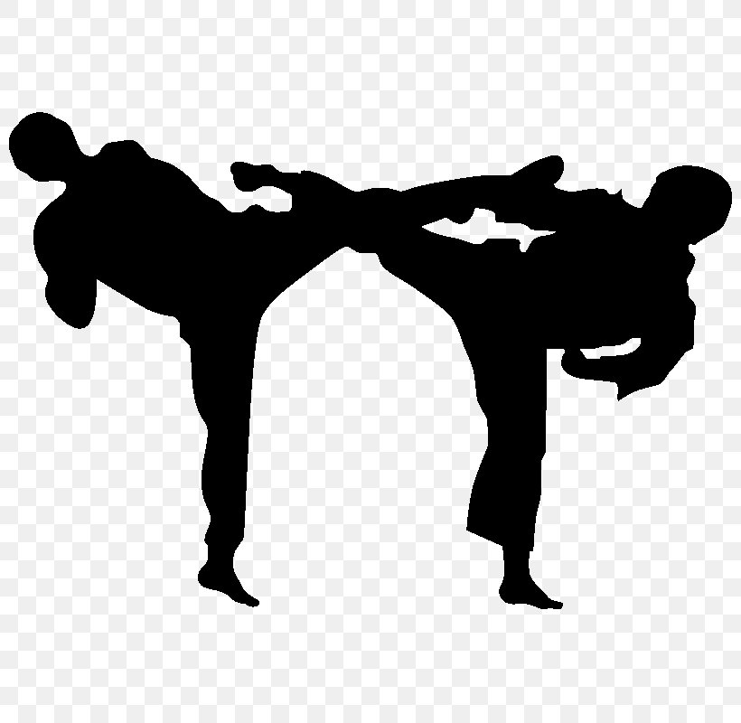 Karate Martial Arts Sport Tang Soo Do Budō, PNG, 800x800px, Karate, Black And White, Budo, Chinese Martial Arts, Horse Like Mammal Download Free