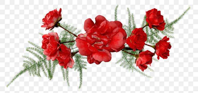 Love, PNG, 800x388px, Love, Blog, Branch, Carnation, Cut Flowers Download Free