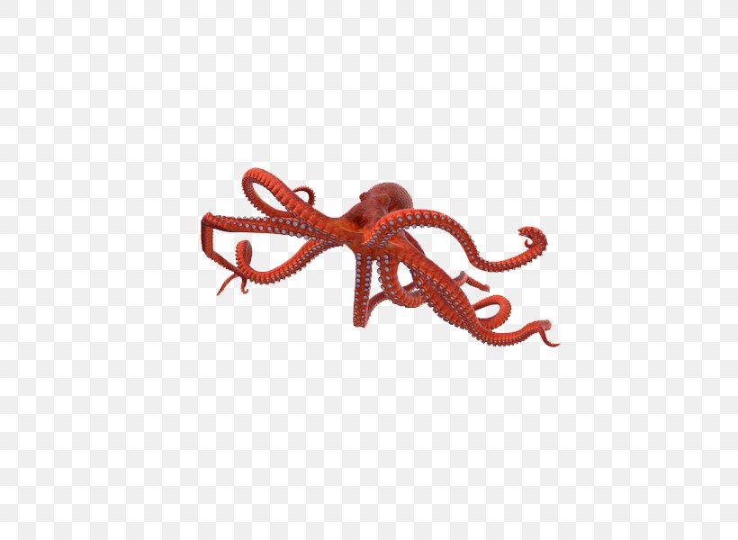Octopus Image Graphic Design 3D Computer Graphics, PNG, 600x600px, 3d Computer Graphics, 3d Rendering, Octopus, Animal Figure, Cephalopod Download Free