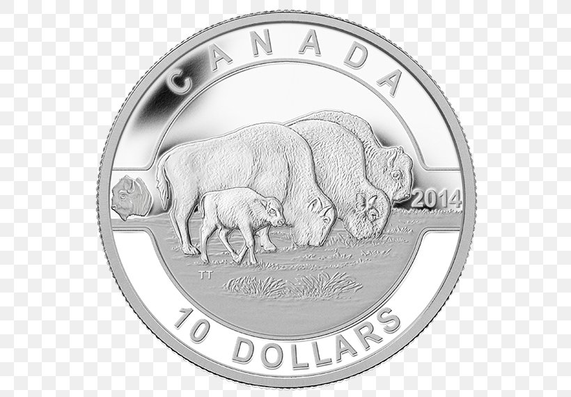 Canadian Rockies Royal Canadian Mint Bullion Coin Silver Coin, PNG, 570x570px, Watercolor, Cartoon, Flower, Frame, Heart Download Free