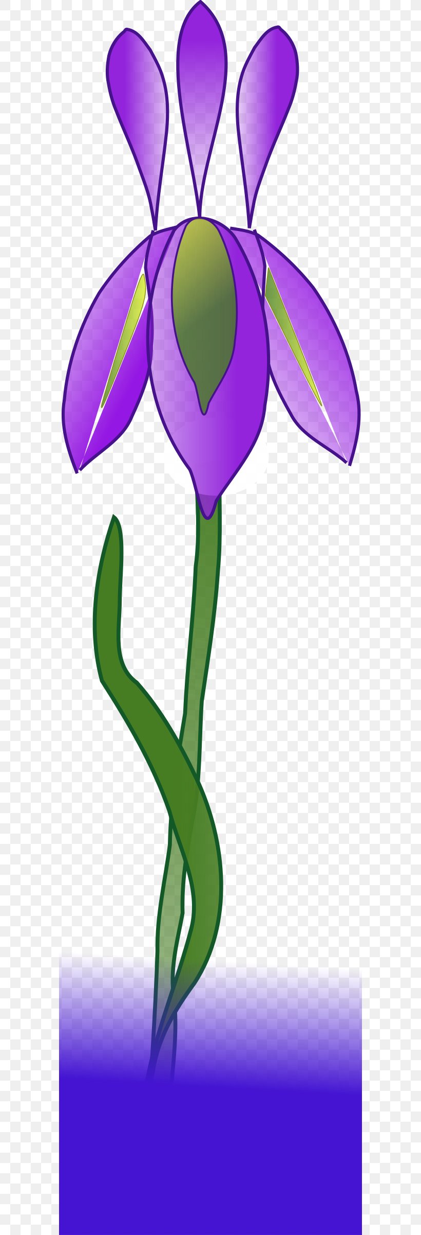 Iris Watercolor Painting Clip Art, PNG, 590x2400px, Iris, Art, Artwork, Drawing, Flora Download Free