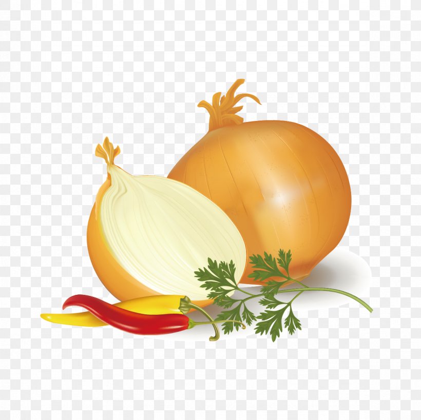 Onion Ring Potato Onion Capsicum Annuum Vegetable, PNG, 1181x1181px, Onion Ring, Allium Fistulosum, Calabaza, Capsicum, Capsicum Annuum Download Free