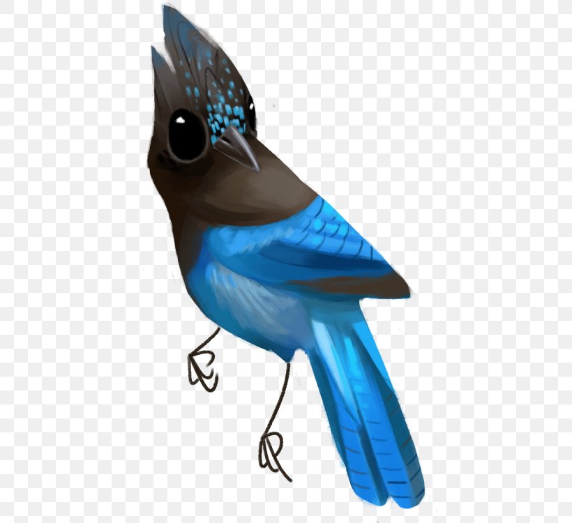 Blue Jay Cobalt Blue Feather Beak, PNG, 500x750px, Blue Jay, Beak, Bird, Blue, Bluebird Download Free