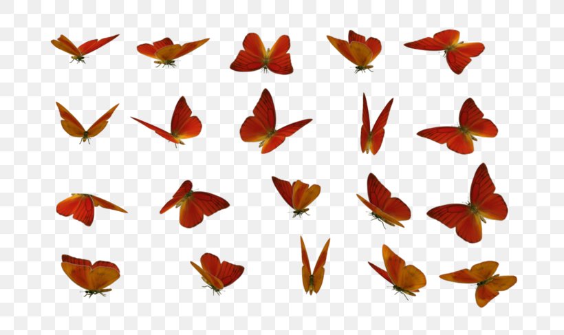 Butterfly Insect Clip Art Orange, PNG, 740x487px, Butterfly, Insect, Invertebrate, Leaf, Moths And Butterflies Download Free