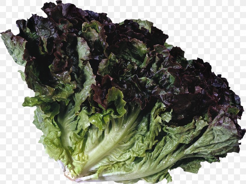 Leaf Vegetable Lettuce Food Collard Greens, PNG, 1289x963px, Leaf Vegetable, Broccoli, Cabbage, Chard, Collard Greens Download Free