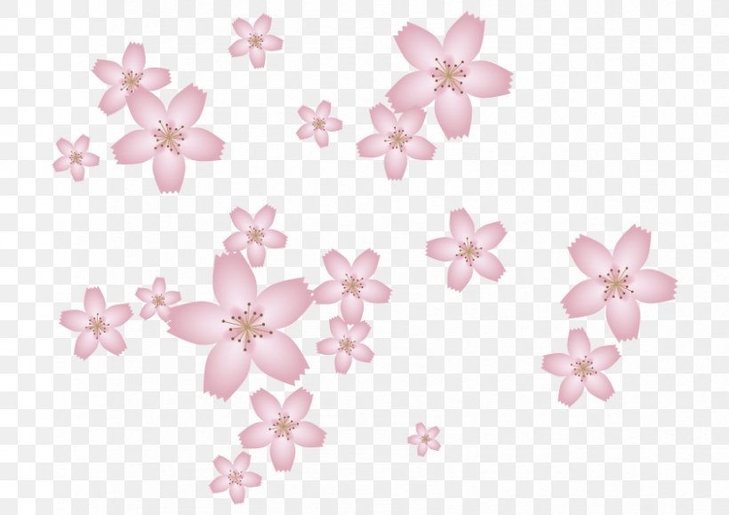 Petal Cherry Blossom Body Jewellery ST.AU.150 MIN.V.UNC.NR AD, PNG, 842x595px, Petal, Blossom, Body Jewellery, Body Jewelry, Cherry Download Free