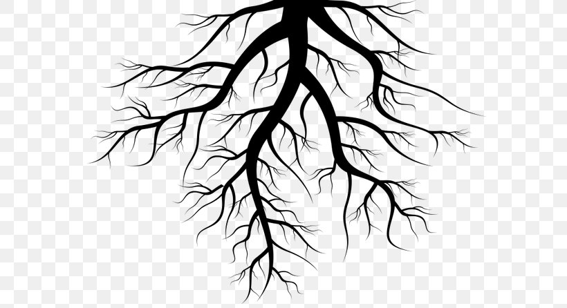 Tree Root Clip Art, PNG, 600x446px, Tree, Artwork, Black And White, Branch, Drawing Download Free