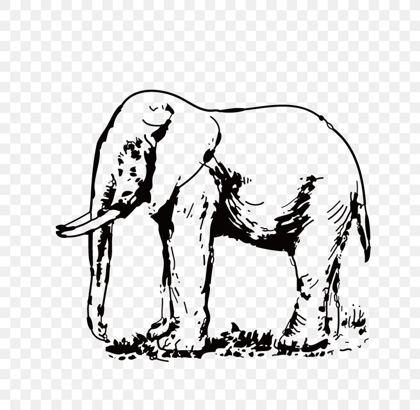 Asian Elephant White Elephant Clip Art, PNG, 800x800px, Asian Elephant, African Elephant, Art, Black And White, Carnivoran Download Free