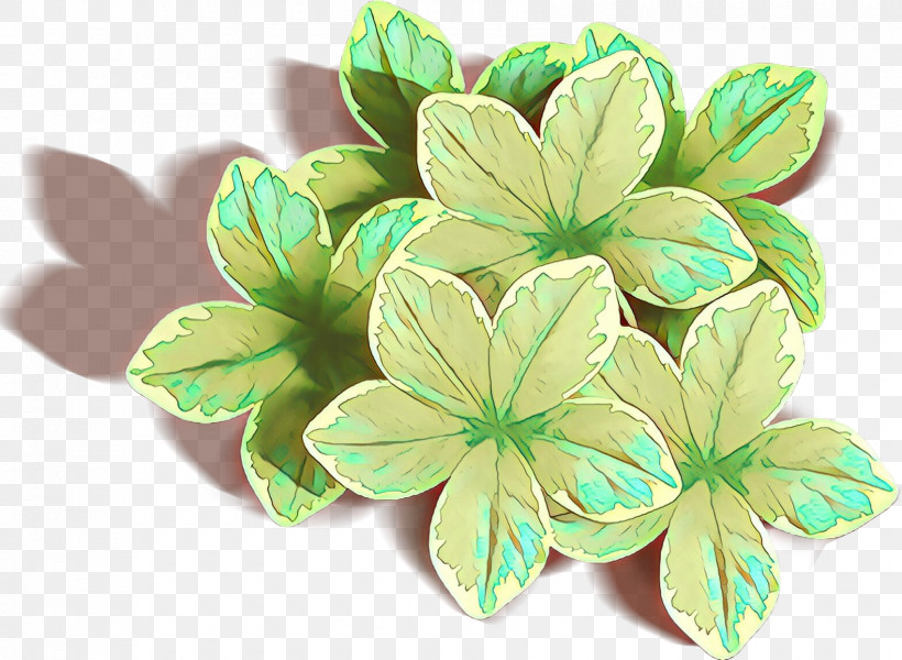 Leaf Flower Plant Petal Symbol, PNG, 1700x1245px, Leaf, Flower, Geranium, Petal, Plant Download Free