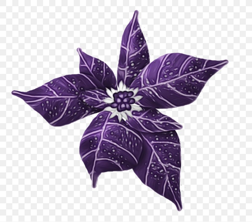 Purple Violet Flower Plant Leaf, PNG, 800x721px, Watercolor, Flower, Leaf, Paint, Petal Download Free
