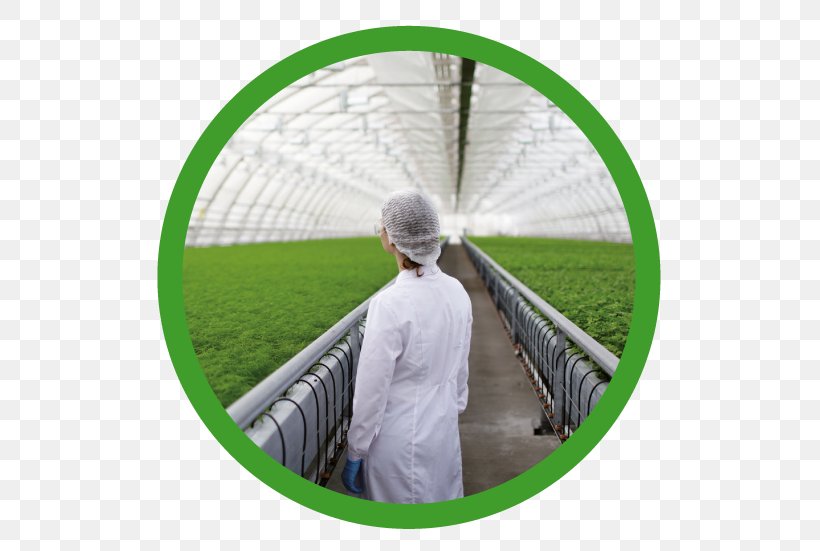 Agriculture Agricultural Science Stock Photography Research Biotechnology, PNG, 556x551px, Agriculture, Agricultural Science, Biotechnology, Blood Sugar, Business Download Free
