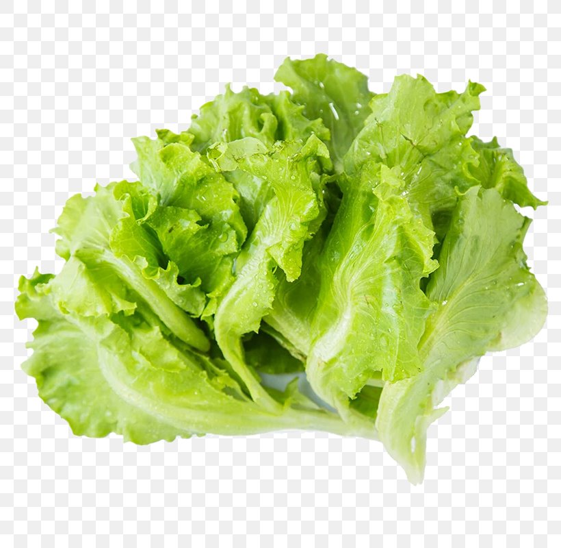Hot Pot Iceberg Lettuce Leaf Vegetable Grow Light, PNG, 800x800px, Hot Pot, Caesar Salad, Chiponboard, Dish, Endive Download Free