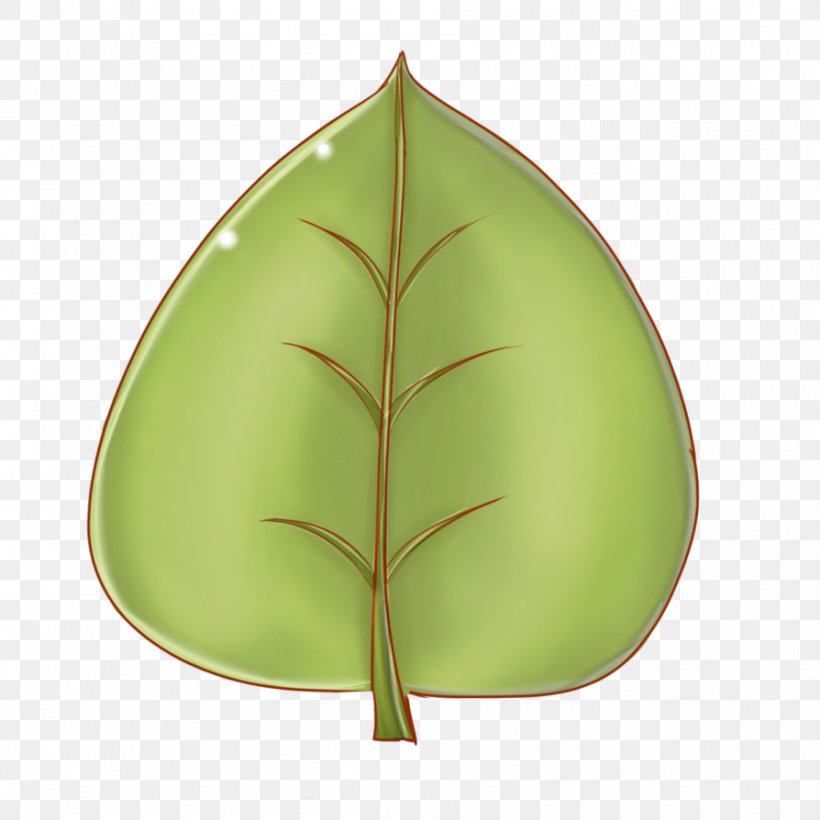 Leaf Animation Drawing Clip Art, PNG, 894x894px, Leaf, Animated Cartoon, Animation, Drawing, Green Download Free