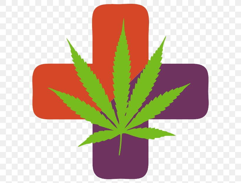 Medical Cannabis Dispensary Sour Diesel Green Dragon, PNG, 620x626px, Cannabis, Cannabis Sativa, Cannabis Shop, Cannabis Smoking, Decal Download Free