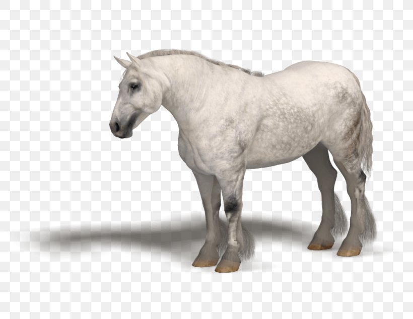 Breton Horse Mane Stallion Pony Mare, PNG, 800x634px, 3d Computer Graphics, 3d Rendering, Mane, Animal Figure, Das Productions Inc Download Free