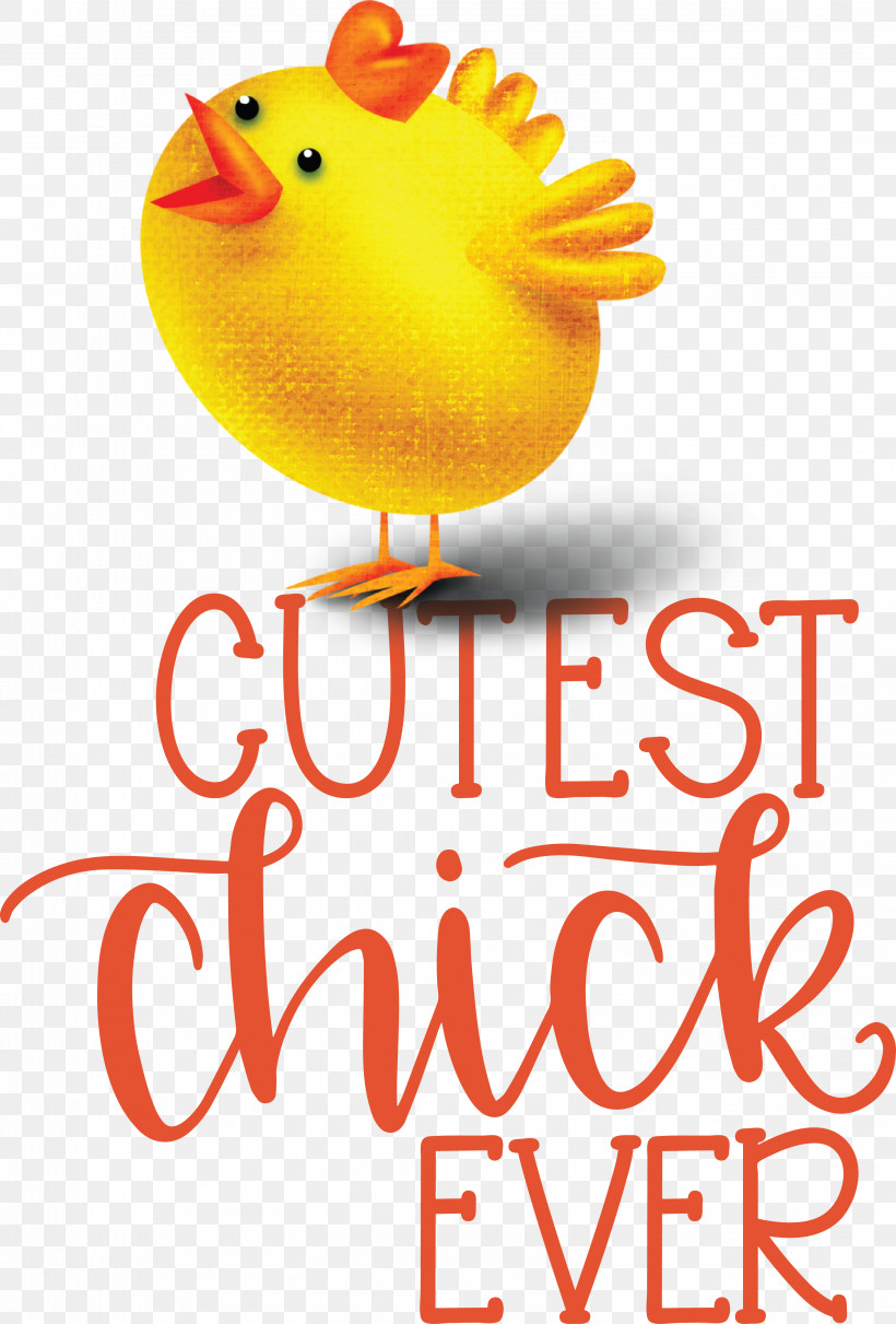 Chicken Landfowl Beak Happiness Chicken, PNG, 2987x4414px, Chicken, Beak, Happiness, Landfowl, Meter Download Free