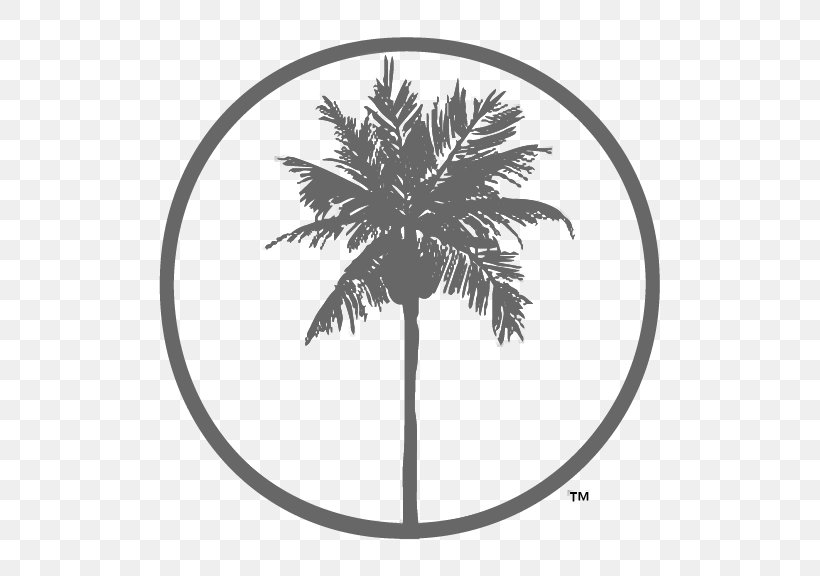Palm Trees Cushion Coconut Giraffe, PNG, 576x576px, Palm Trees, Arecales, Black, Black And White, Branch Download Free