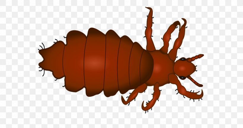 Crab Cartoon, PNG, 960x507px, Louse, Claw, Comb, Crab Louse, Dandruff Download Free