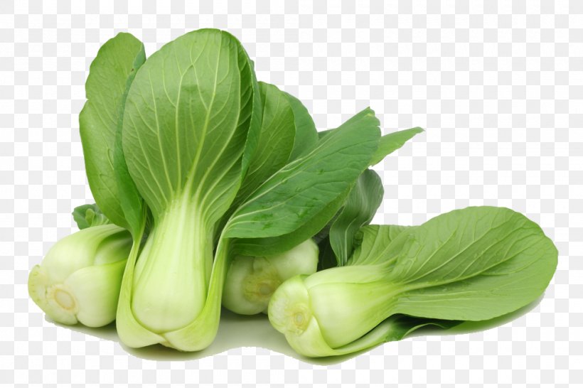 Cruciferous Vegetables Cabbage Spring Greens Choy Sum, PNG, 1000x667px, Cruciferous Vegetables, Bok Choy, Brassica, Brassica Oleracea, Broccoli Download Free