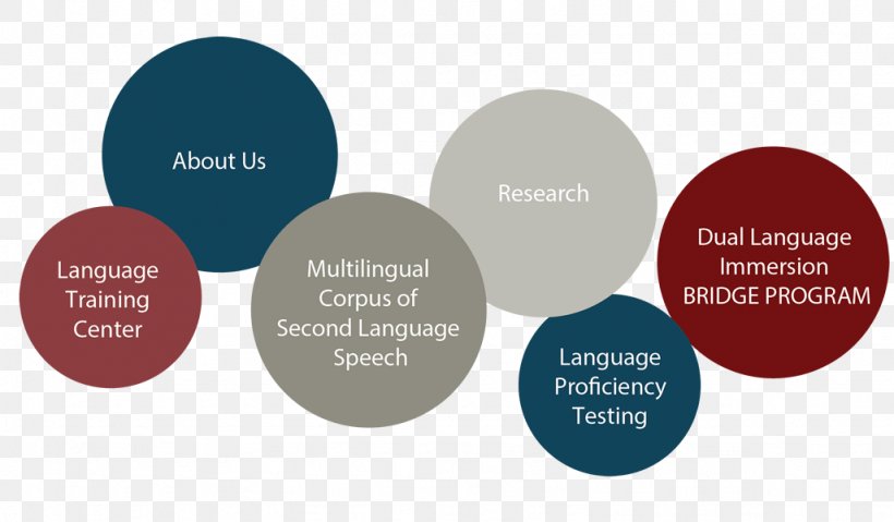American Council On The Teaching Of Foreign Languages Second Language Language Proficiency Language Acquisition, PNG, 1026x600px, Second Language, Brand, Communication, English, Language Download Free