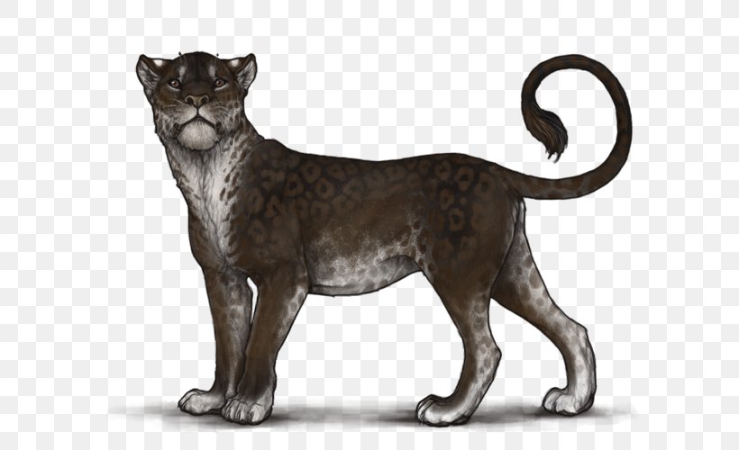 Big Cat Lion Terrestrial Animal, PNG, 640x500px, Cat, Animal, Big Cat, Big Cats, Carnivoran Download Free