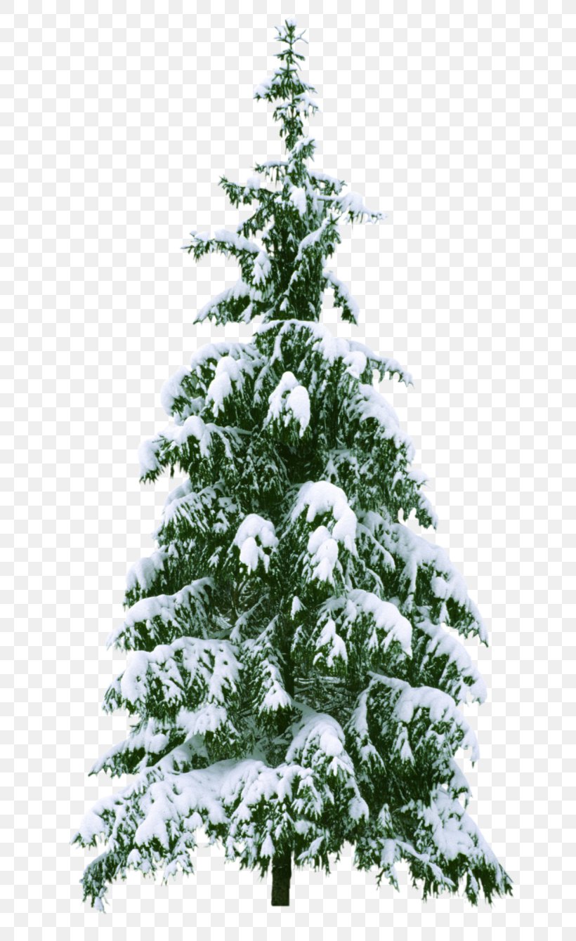 Christmas Tree New Year Tree, PNG, 670x1340px, Christmas Tree, Branch, Christmas, Christmas Decoration, Christmas Lights Download Free