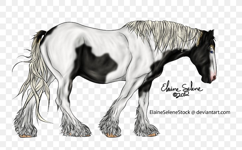 Mustang Foal Stallion Colt Mare, PNG, 800x510px, Mustang, Colt, Drawing, Foal, Halter Download Free