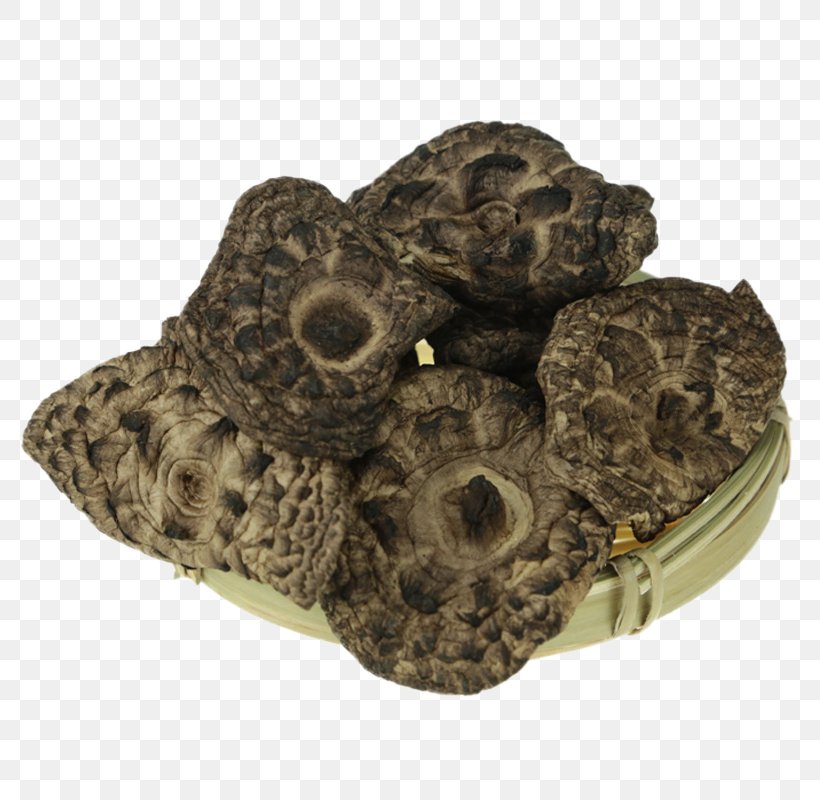 Food Black Mushroom, PNG, 800x800px, Food, Black, Cloud Ear Fungus, Drawing, Mushroom Download Free