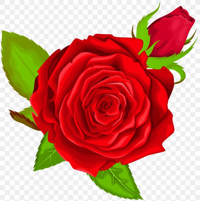 Best Roses Art Clip Art, PNG, 7942x8000px, Best Roses, Art, Blog, China Rose, Cut Flowers Download Free