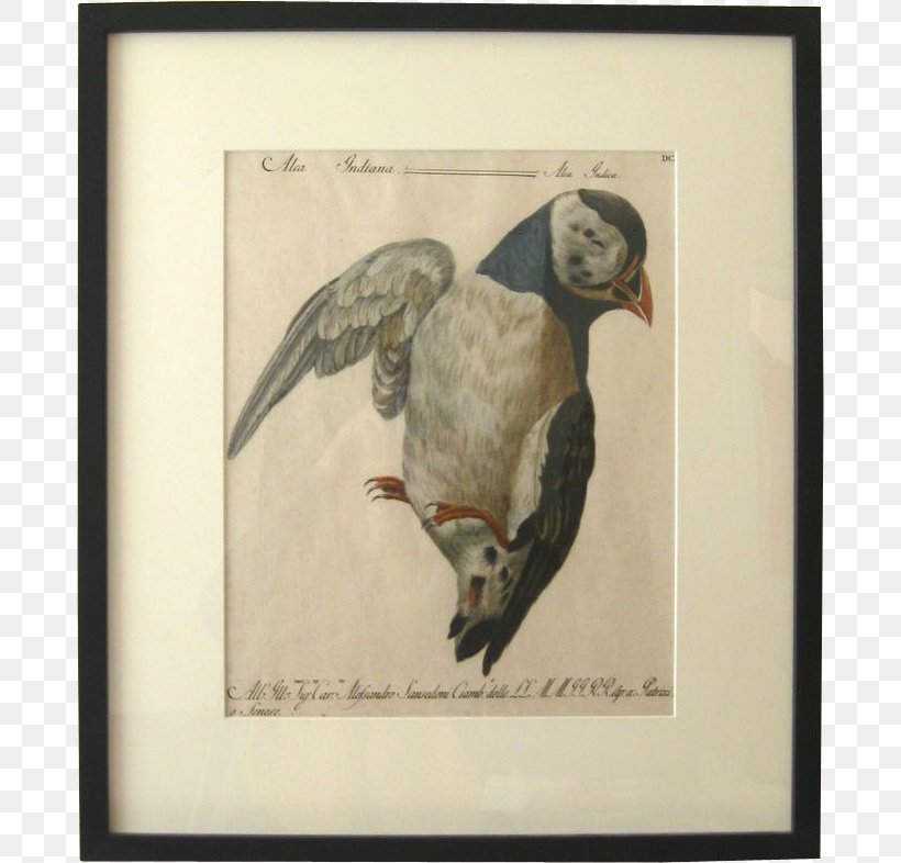 Bird Crane Painting Picture Frames Printing, PNG, 786x786px, Bird, Art, Beak, Bird Of Prey, Canvas Download Free