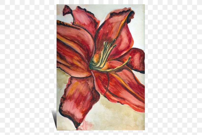 Canna Amaryllis Belladonna Indian Shot Flower Art, PNG, 700x550px, Canna, Amaryllis, Amaryllis Belladonna, Art, Belladonna Download Free