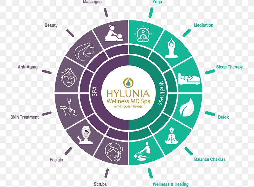 Hylunia Wellness MD Spa Day Spa Massage, PNG, 749x603px, Spa, Art, Brand, Day Spa, Diagram Download Free