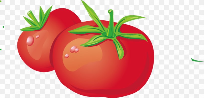 Vegetable Tomato Fruit Vecteur, PNG, 823x397px, Vegetable, Apple, Bell Pepper, Carrot, Diet Food Download Free