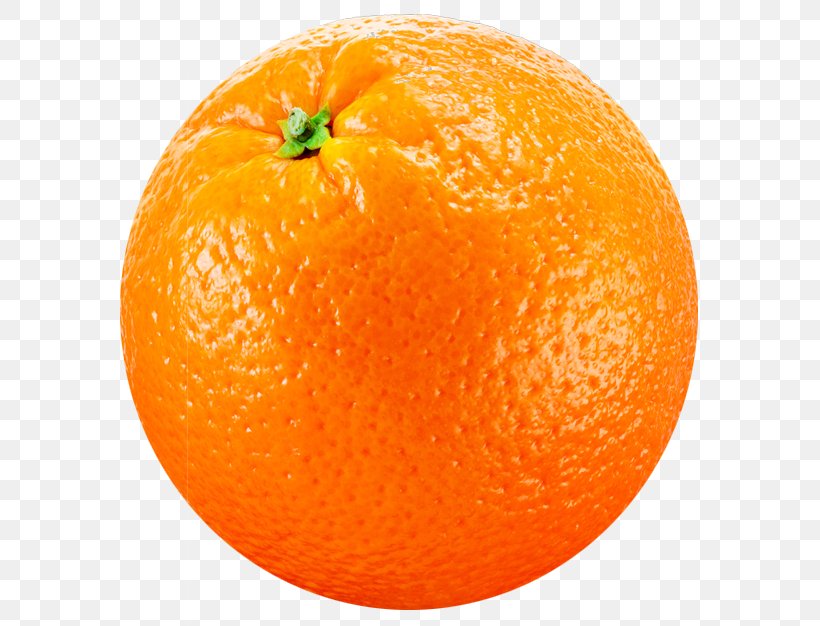 Clementine Joke Tangerine Mandarin Orange, PNG, 678x626px, Watercolor, Cartoon, Flower, Frame, Heart Download Free