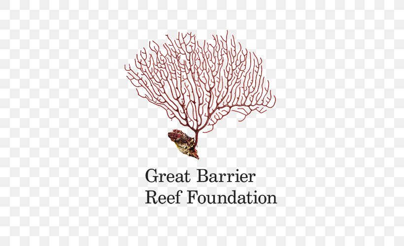 Raine Island Great Barrier Reef Coral Reef Organization, PNG, 500x500px, Great Barrier Reef, Australia, Branch, Charitable Organization, Coral Download Free
