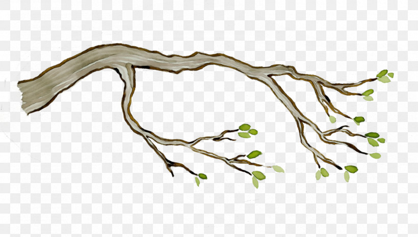 Branch Twig Tree Leaf Plant, PNG, 1600x910px, Watercolor, Branch, Leaf, Paint, Plant Download Free