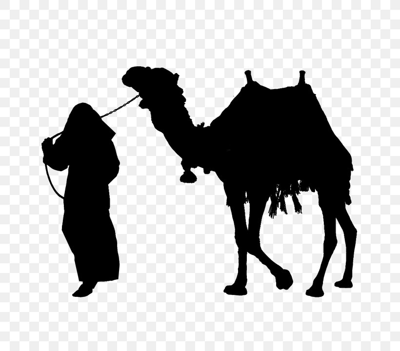 Camel Silhouette Clip Art, PNG, 720x720px, Camel, Arabian Camel, Black And White, Camel Like Mammal, Cattle Like Mammal Download Free