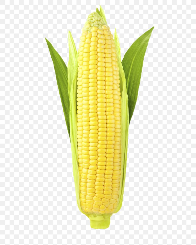 Corn On The Cob Ear Corncob Stock Photography Sweet Corn, PNG, 683x1024px, Corn On The Cob, Commodity, Corn Kernel, Corn Kernels, Corncob Download Free