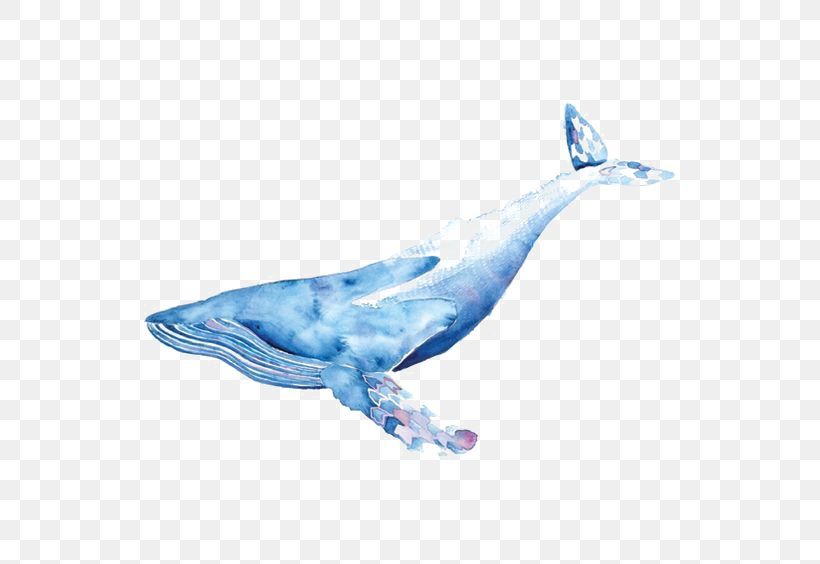 Blue Whale Watercolor Painting Drawing Illustration, PNG, 564x564px, Whale, Blue, Color, Computer Software, Drawing Download Free