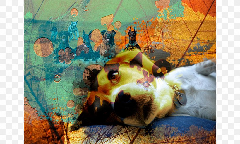 Dog Painting Desktop Wallpaper Snout Photography, PNG, 940x564px, Dog, Art, Carnivoran, Computer, Dog Like Mammal Download Free