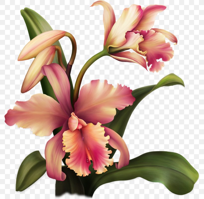 Flower Floral Design Painting Art, PNG, 791x800px, Flower, Art, Artificial Flower, Blog, Blume Download Free